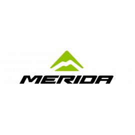 Merida